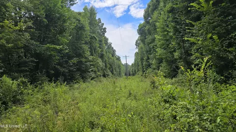 Pearson Road, Stewart, MS 39767 photo 8