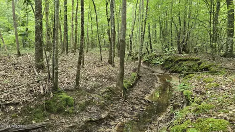 Pearson Road, Stewart, MS 39767