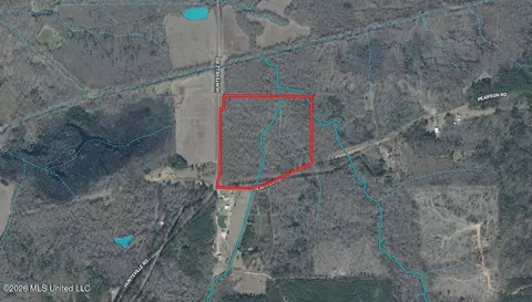 Pearson Road, Stewart, MS 39767 photo 43