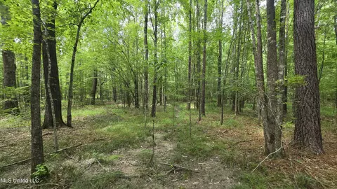 Pearson Road, Stewart, MS 39767 photo 14