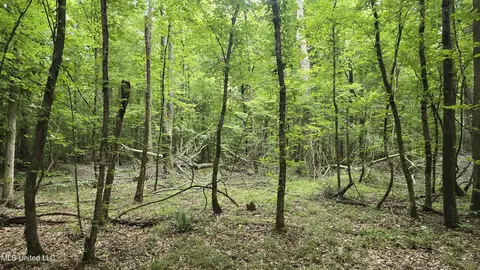 Pearson Road, Stewart, MS 39767 photo 41