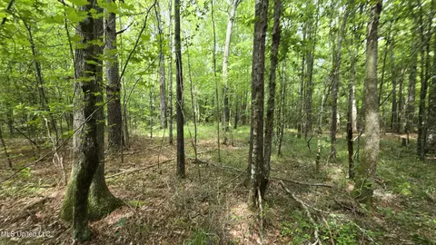 Pearson Road, Stewart, MS 39767 photo 13