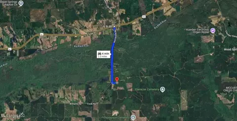 Pearson Road, Stewart, MS 39767 photo 44