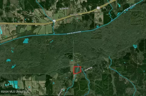 Pearson Road, Stewart, MS 39767 photo 42