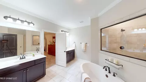 Bath - 3464 Scott Rd, Hernando, MS 38632 photo 1 of 6