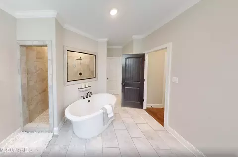Bath - 3464 Scott Rd, Hernando, MS 38632 photo 3 of 6