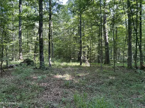 Easy Street, Brandon, MS 39042 photo 16