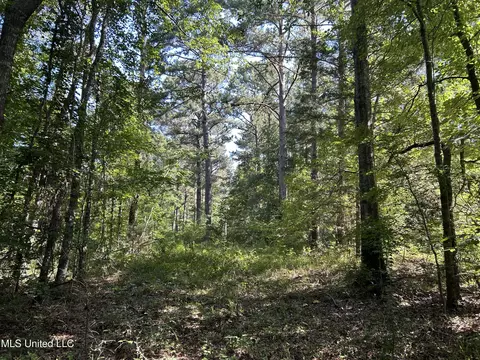 Easy Street, Brandon, MS 39042 photo 8