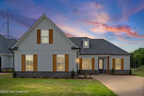 Exterior - 2951 Eden Ln, Nesbit, MS 38651 photo 6 of 7