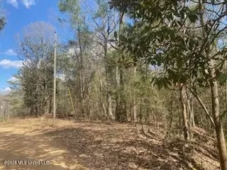 Turkey Creek Road, Natchez, MS 39120