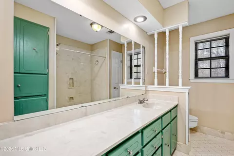 Bath - 3820 N Windermere Dr, Nesbit, MS 38651 photo 2 of 3