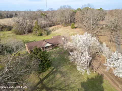 Other - 3820 N Windermere Dr, Nesbit, MS 38651 photo 9 of 10