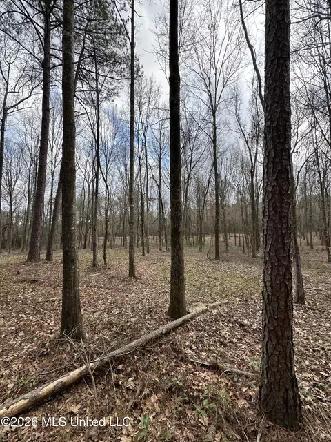 00 Futch Rd, Forest, MS 39074 photo 9