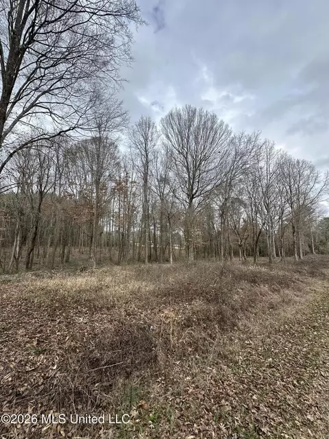 00 Futch Rd, Forest, MS 39074 photo 4