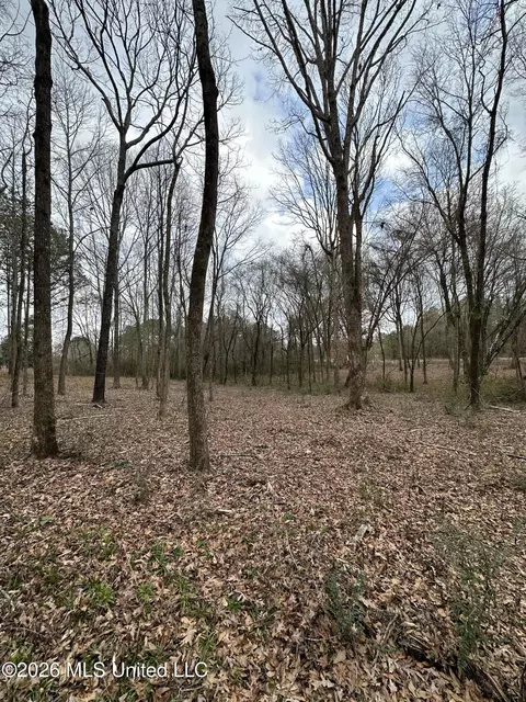 00 Futch Rd, Forest, MS 39074 photo 11