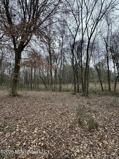 00 Futch Rd, Forest, MS 39074 photo 14