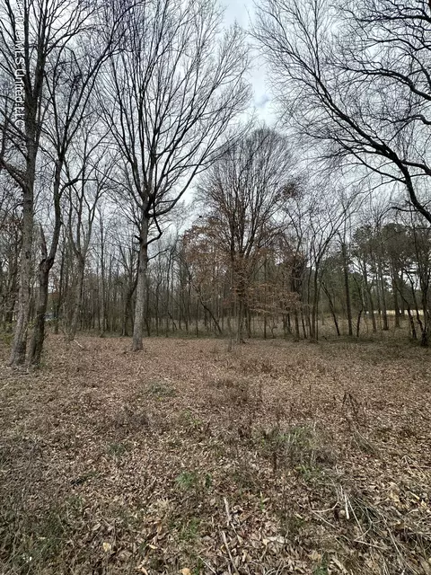 00 Futch Rd, Forest, MS 39074