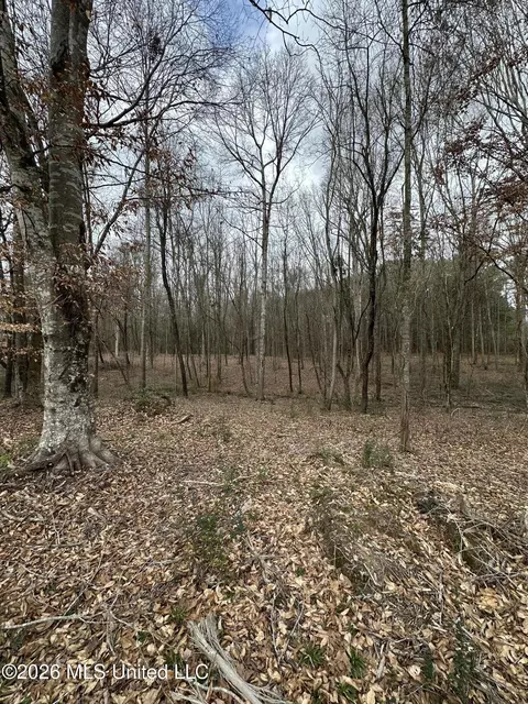 00 Futch Rd, Forest, MS 39074 photo 5