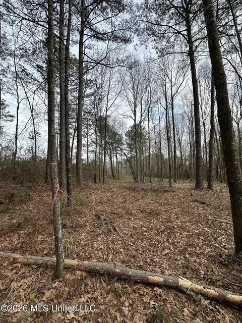00 Futch Rd, Forest, MS 39074 photo 8