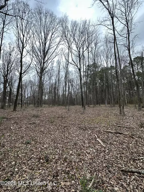00 Futch Rd, Forest, MS 39074 photo 12