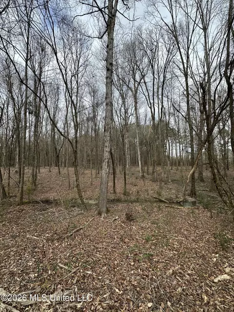 00 Futch Rd, Forest, MS 39074 photo 6