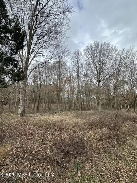 00 Futch Rd, Forest, MS 39074 photo 3