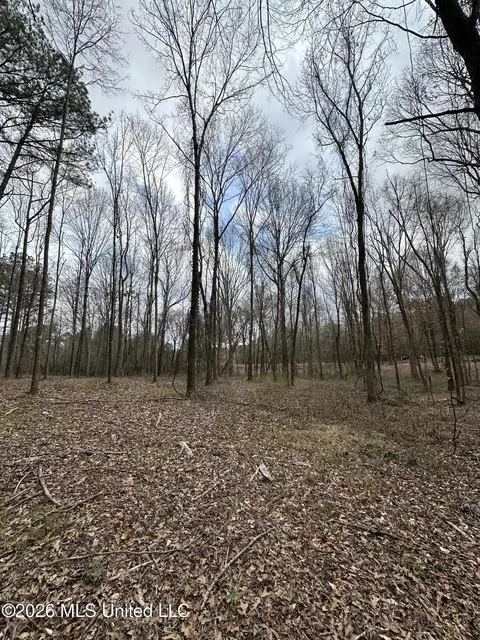 00 Futch Rd, Forest, MS 39074 photo 10