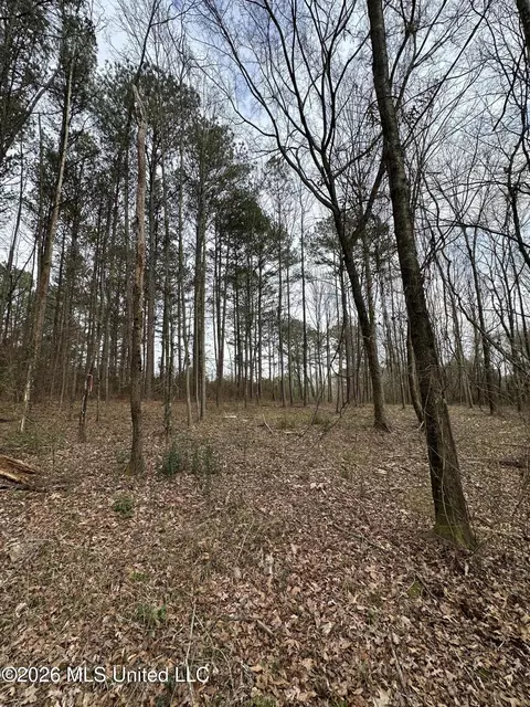 00 Futch Rd, Forest, MS 39074 photo 7
