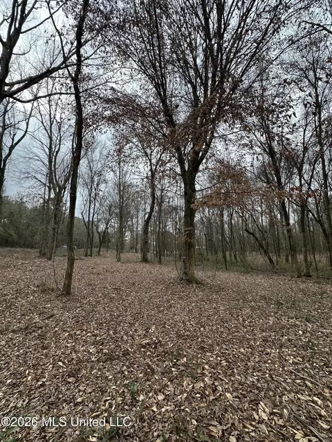 00 Futch Rd, Forest, MS 39074 photo 13