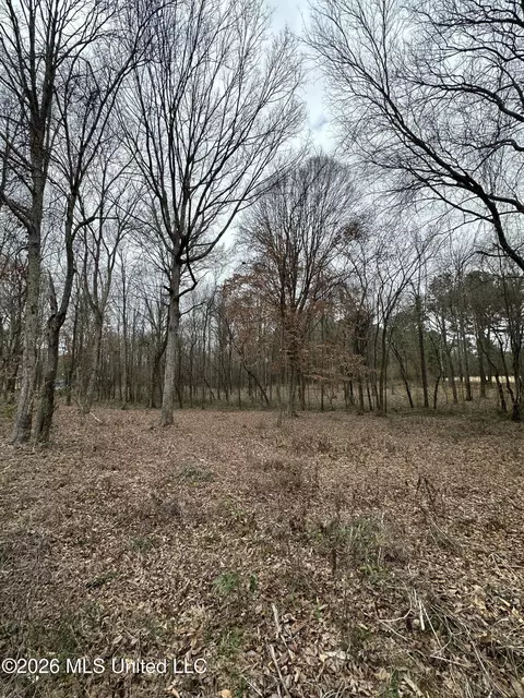 00 Futch Rd, Forest, MS 39074 photo 15