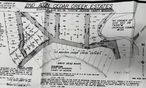 196 Cedar Creek Rd, Lucedale, MS 39452 photo 5
