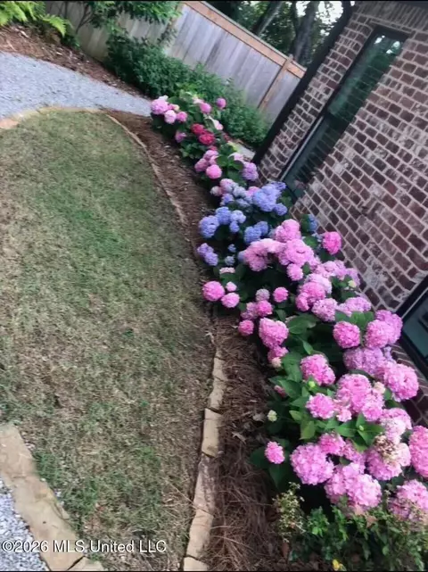 Exterior - 157 Bridge Water Loop, Madison, MS 39110 photo 7 of 12