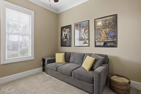 104 Tail Feather Dr, Madison, MS 39110 photo 22