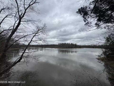 157 Eulogy Rd, Lexington, MS 39095