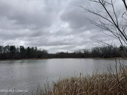 157 Eulogy Rd, Lexington, MS 39095 photo 31