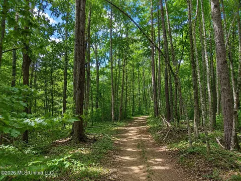 157 Eulogy Rd, Lexington, MS 39095 photo 5