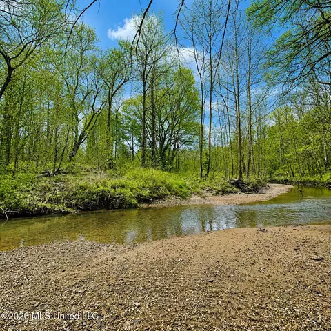 157 Eulogy Rd, Lexington, MS 39095 photo 3