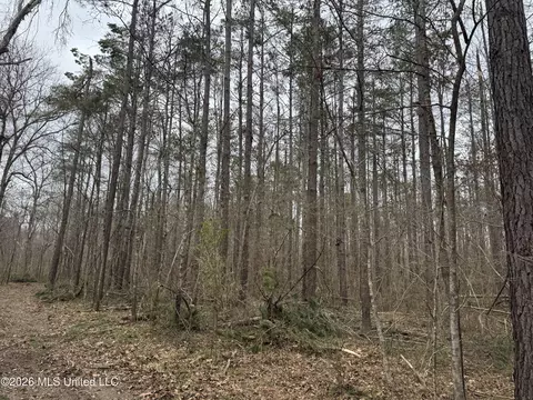 157 Eulogy Rd, Lexington, MS 39095 photo 22
