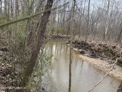 157 Eulogy Rd, Lexington, MS 39095 photo 54