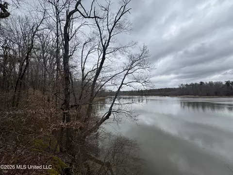 157 Eulogy Rd, Lexington, MS 39095 photo 36