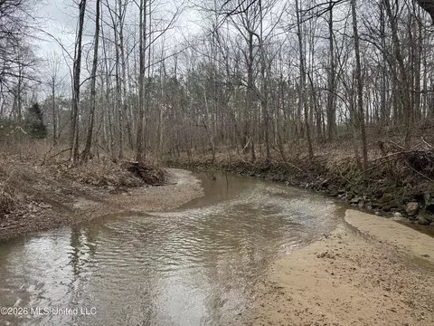 157 Eulogy Rd, Lexington, MS 39095 photo 15