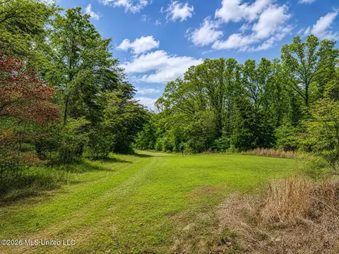 157 Eulogy Rd, Lexington, MS 39095 photo 6