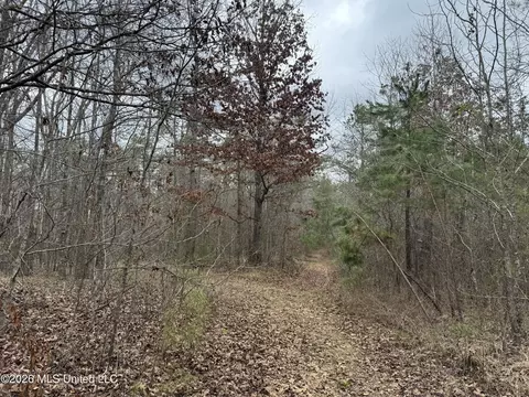 157 Eulogy Rd, Lexington, MS 39095 photo 49