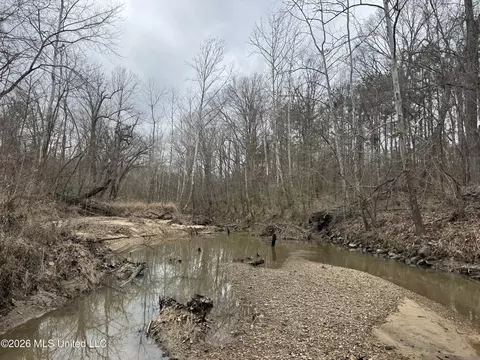 157 Eulogy Rd, Lexington, MS 39095 photo 14