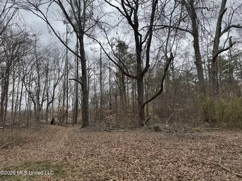 157 Eulogy Rd, Lexington, MS 39095 photo 39