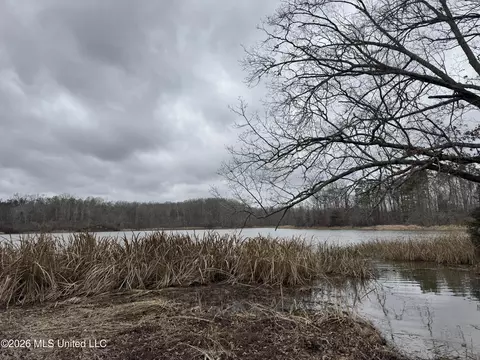 157 Eulogy Rd, Lexington, MS 39095 photo 26