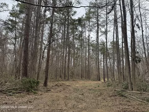 157 Eulogy Rd, Lexington, MS 39095 photo 24