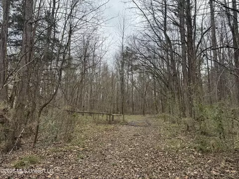 157 Eulogy Rd, Lexington, MS 39095 photo 55