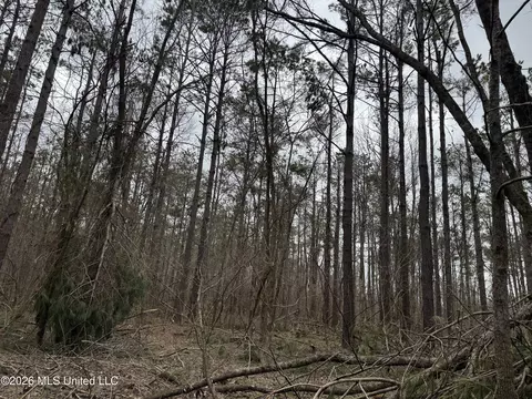 157 Eulogy Rd, Lexington, MS 39095 photo 51