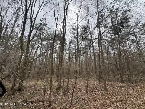157 Eulogy Rd, Lexington, MS 39095 photo 43
